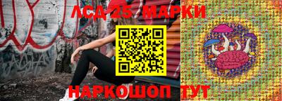 винт Гатчина