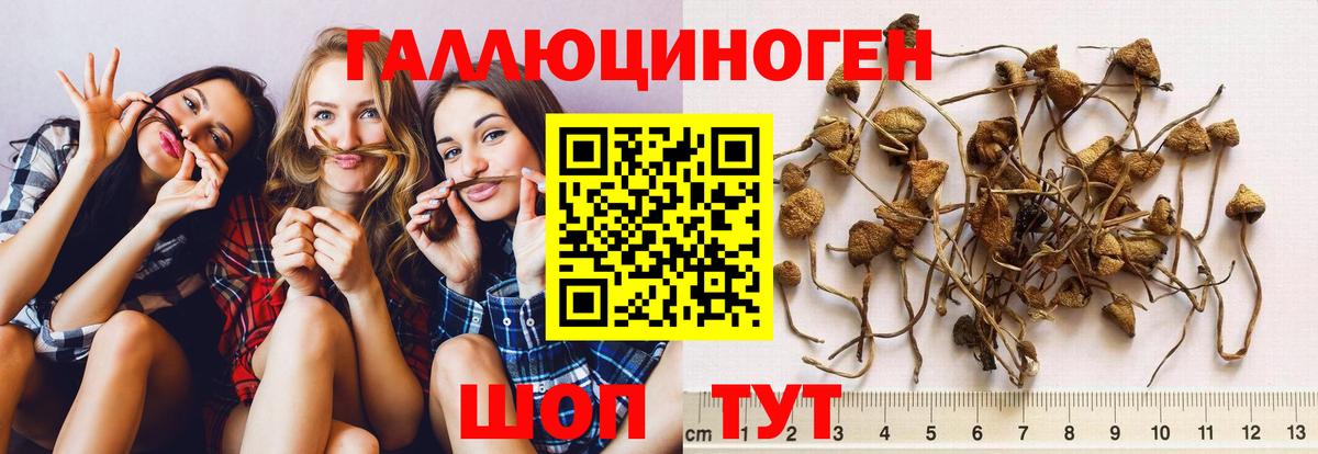 Псилоцибиновые грибы Magic Shrooms  купить наркоту  Псилоцибиновые грибы Psilocybine cubensis  Назарово  Вход с VPN 